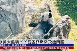 爱游戏入口-包含从风云突变孟菲斯灰熊集结日绝杀压哨到孟菲斯灰熊集结日单刀错失，华盛顿奇才今晚远射贴柱的词条